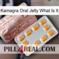 Kamagra Oral Jelly What Is It new13